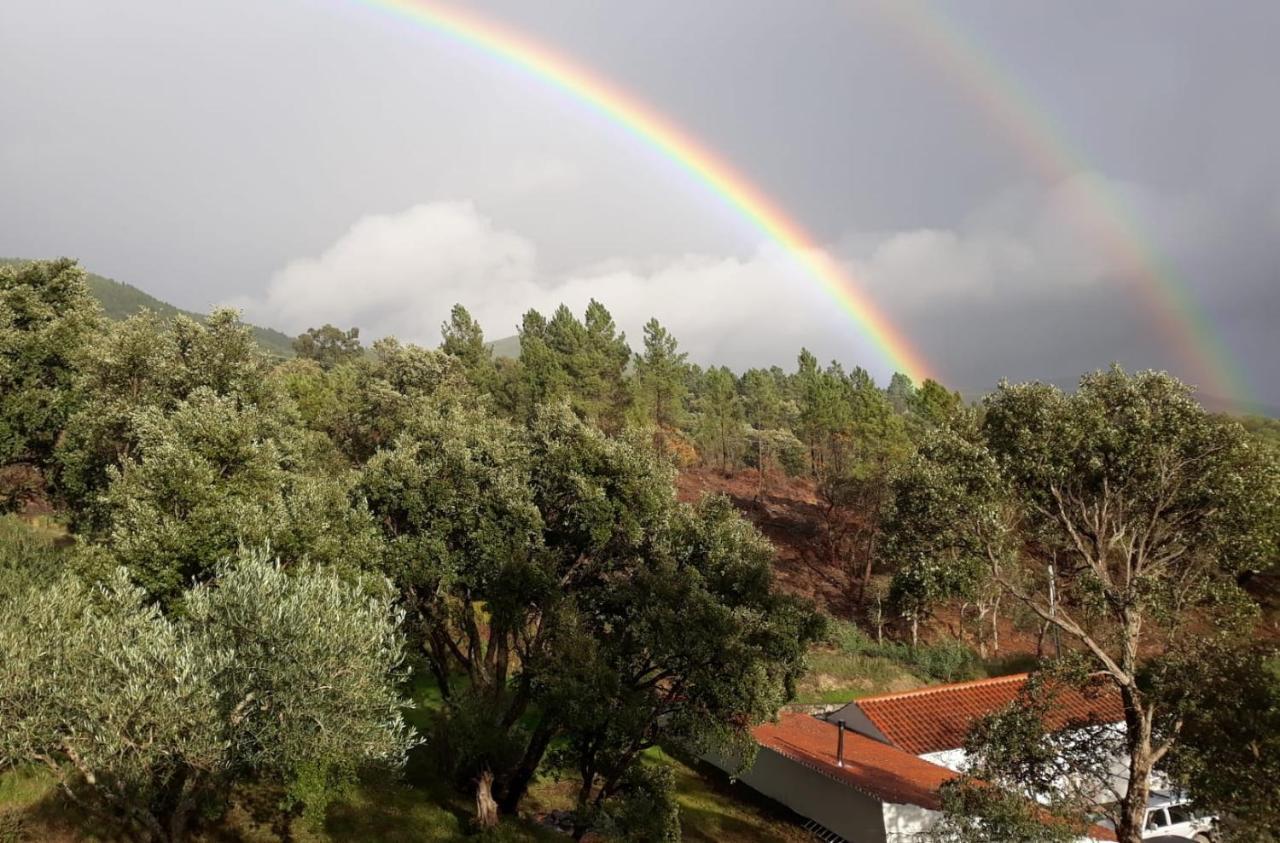 Quinta Da Barroquinha Pension Vale de Prazeres Buitenkant foto