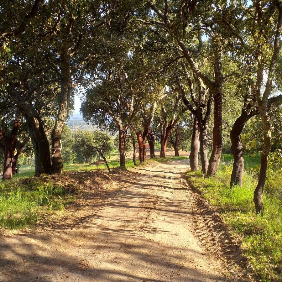 Quinta Da Barroquinha Pension Vale de Prazeres Buitenkant foto