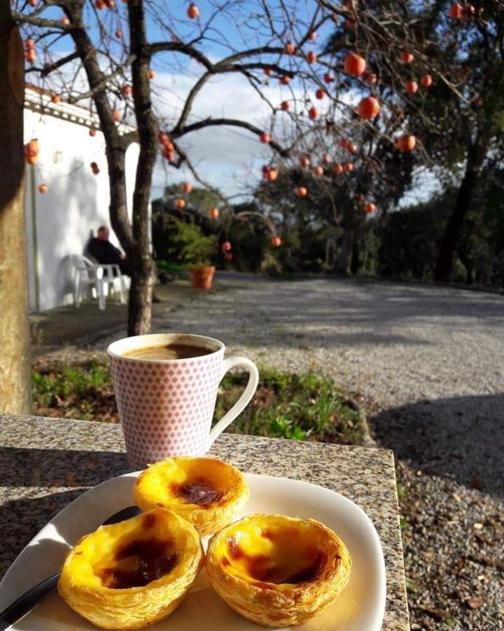 Quinta Da Barroquinha Pension Vale de Prazeres Buitenkant foto